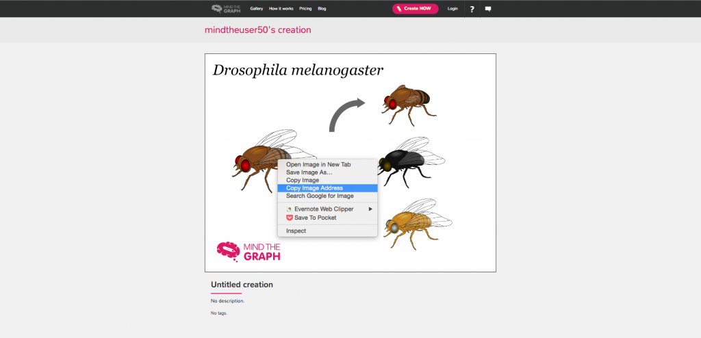 Mind the Graph and Overleaf for science! - Mind the Graph Blog