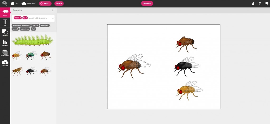Mind the Graph and Overleaf for science! - Mind the Graph Blog