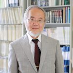 ohsumi - profesor w tokijskim instytucie technologii - widziany w swoim laboratorium w jokohamie