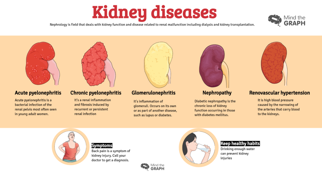 Urinary System Diseases: Infographics To Understand - Mind The Graph Blog