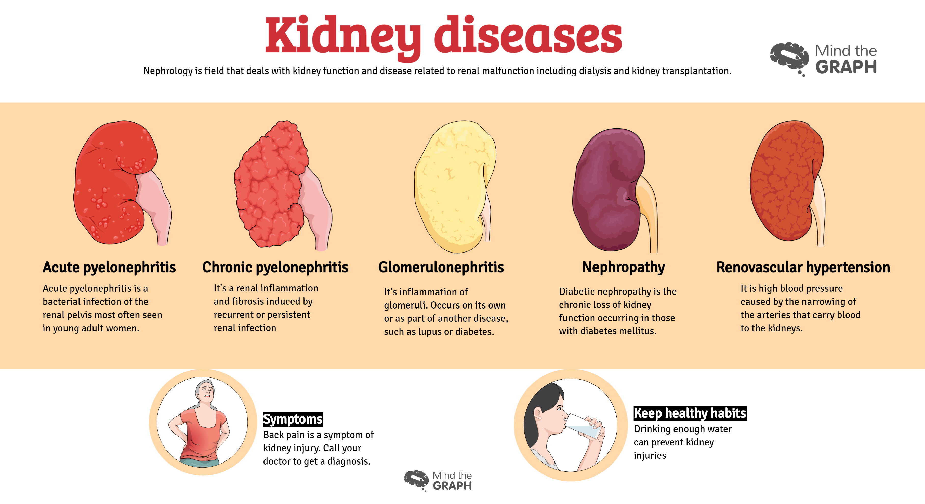 Urinary system diseases: Infographics to understand