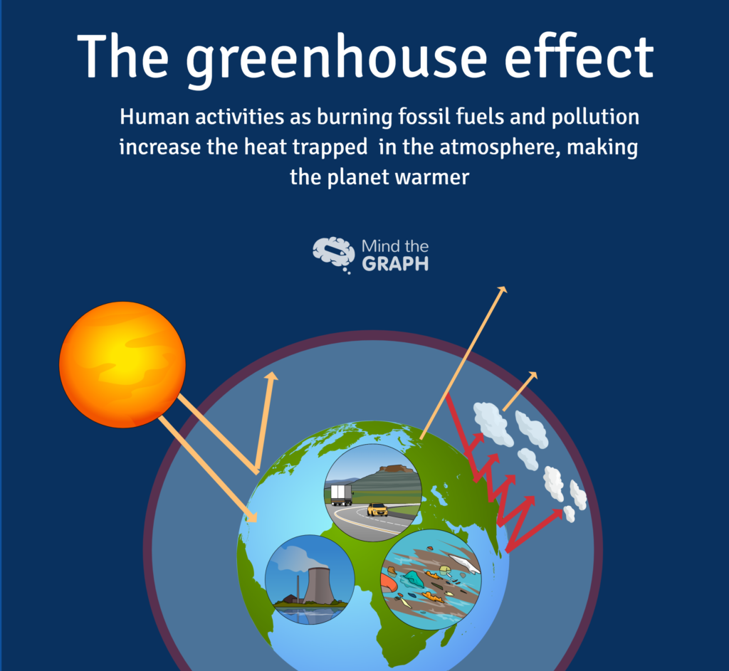 Greenhouse effect. What is Greenhouse Effect. Парниковый эффект инфографика. Парниковый эффект и глобальное потепление. Greenhouse Effect на английском языке.