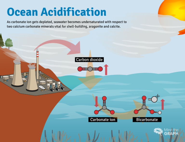 Consequ Ncias Da Acidifica O Dos Oceanos Para Os Animais Marinhos Mind The Graph Blog