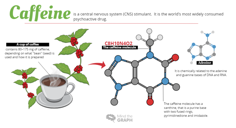 Caffeine The Science Behind Coffee Mind The Graph Blog