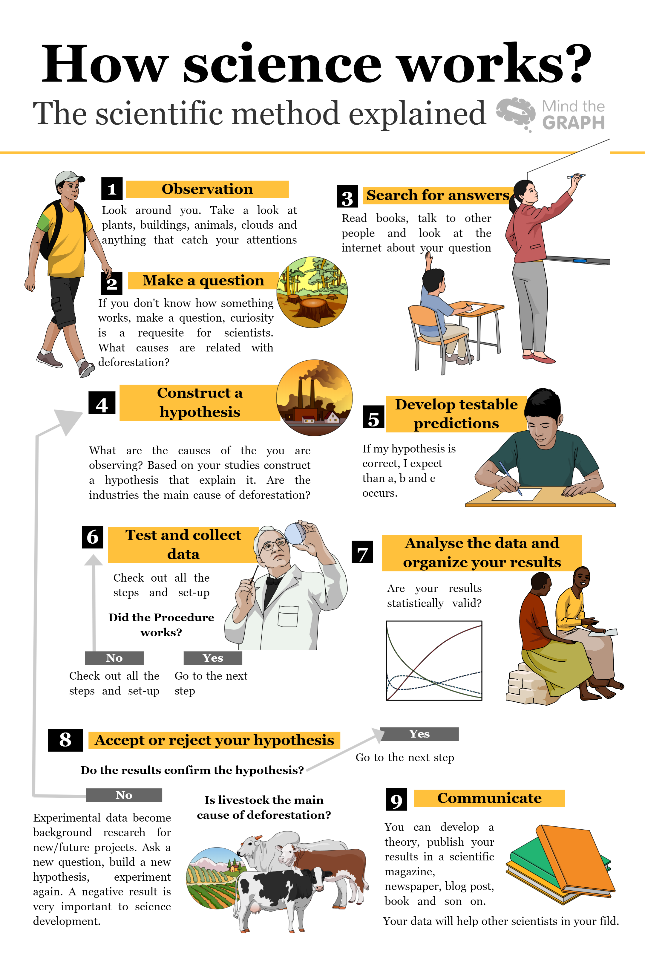 scientific-method-2-mind-the-graph-blog