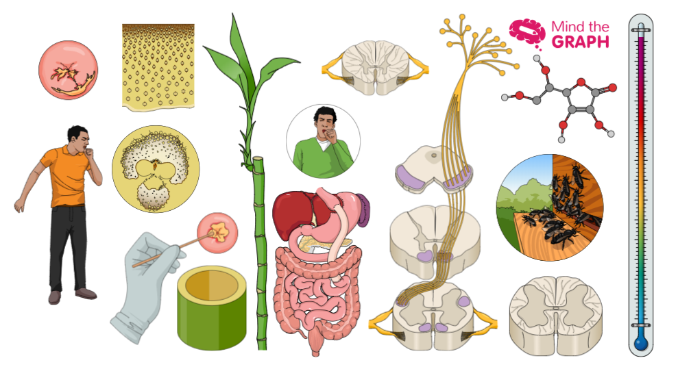 #24 Scientific illustrations of the week: Don’t miss it!