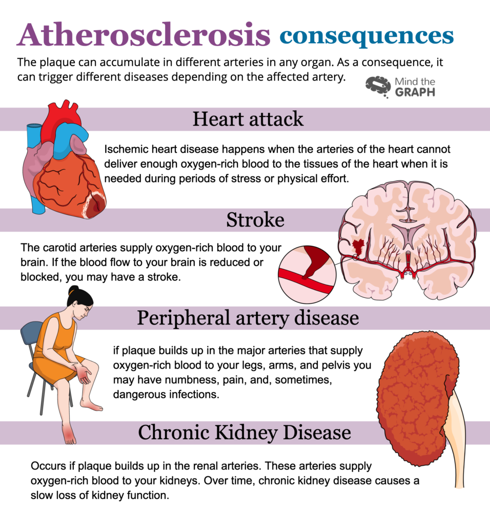 Pathophysiology Of Atherosclerosis Flow Chart