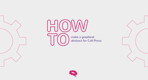 Grauer Hintergrund mit dem Schriftzug How to make a Graphical Abstract for Cell Press