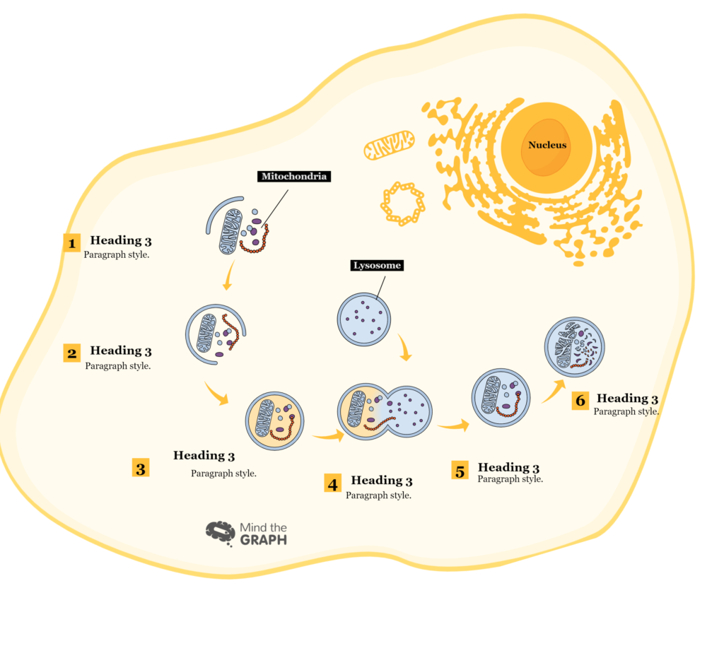 Mind the Graph Blog How to make a Cell Press graphical abstract