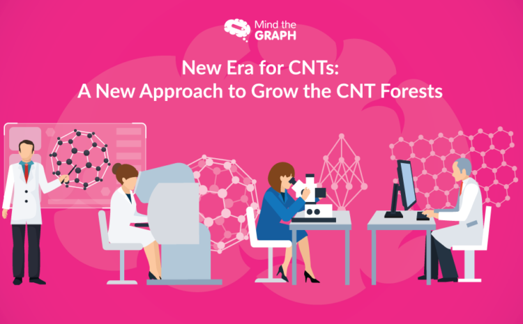 Nová éra CNT: Nový přístup k pěstování lesů CNT