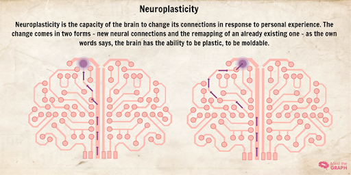 Neuroplastisuus: Aivojemme kyky muuttua