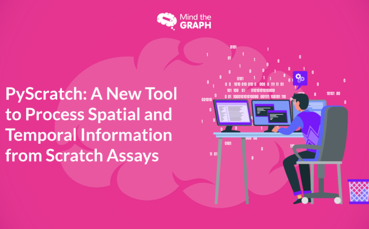 PyScratch-Sebuah Alat Baru untuk Memproses Informasi Spasial dan Temporal dari Tes Awal