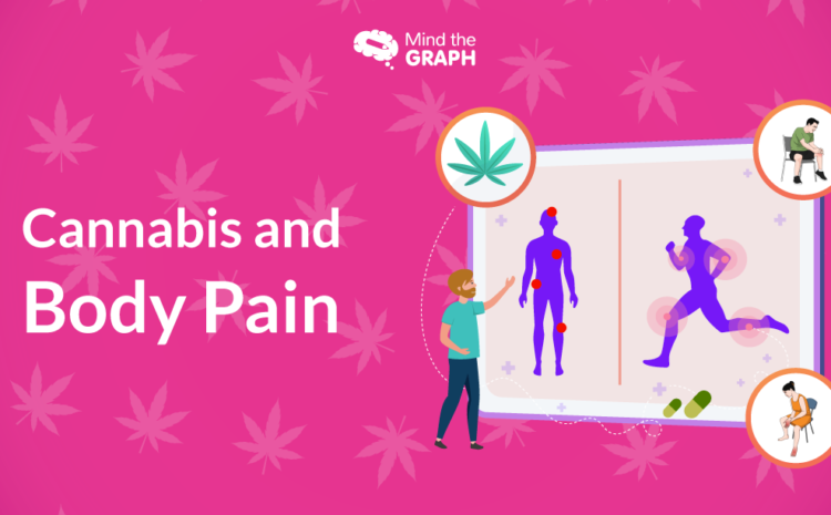 El cannabis y el dolor corporal