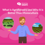 Изображение из блога - Что такое агролесоводство и почему оно лучше, чем монокультура