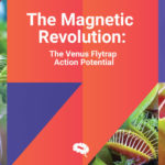 Venus flytrapin magneettikenttä