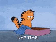 garfield going to its bed for nap time
