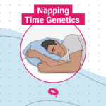 Genetika časa za spanje