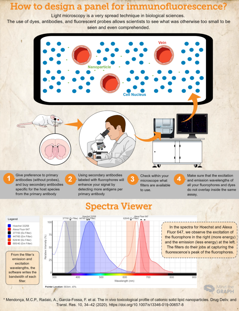 Mind the Graph infographic how to design a panel for immunofluorescence