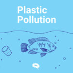 plastic pollution ocean with microplastics