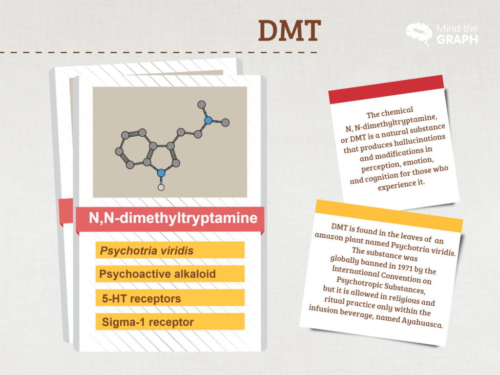 What it dmt infographic