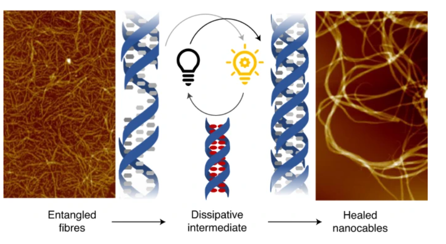 Graphical Abstracts from Nature Chemistry