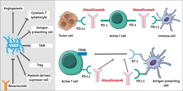 Tutorial: How to create a graphical abstract for Elsevier - Mind the ...