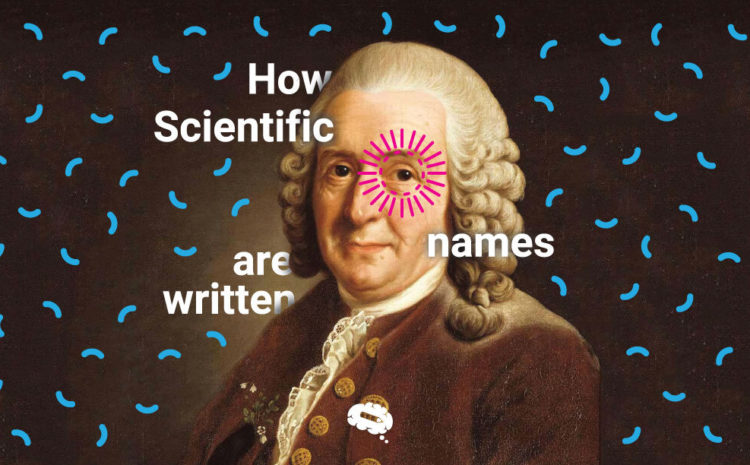Comment les noms scientifiques sont écrits.
