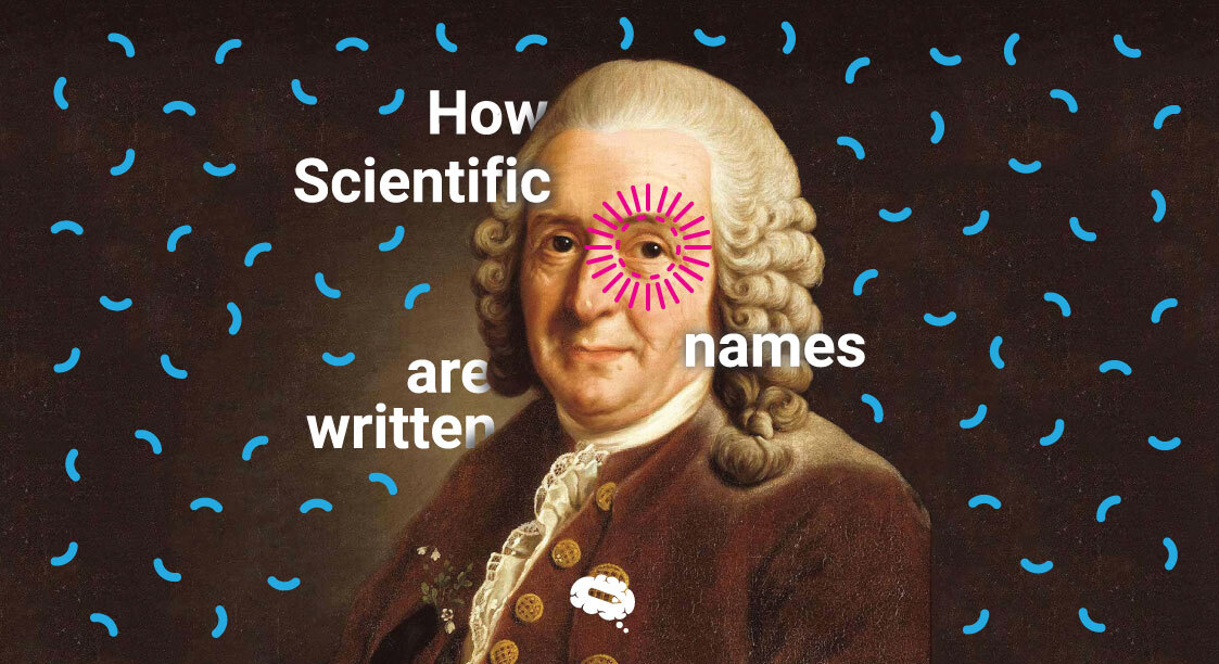 How Scientific names are written with pratical examples