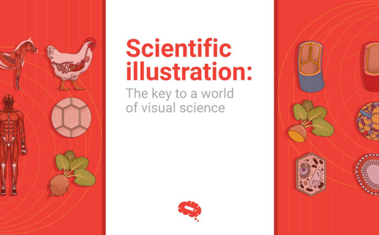Ilustrație științifică: Cheia către o lume a științei vizuale