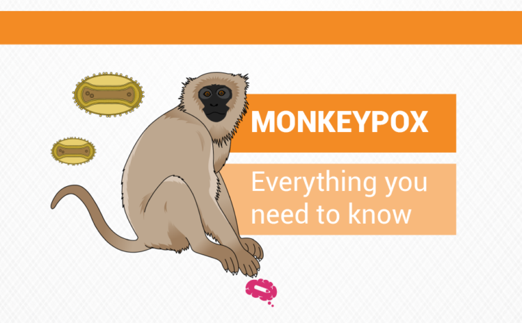 Varíola de macaco: Tudo o que você precisa saber