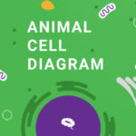 animale-cellula-diagramma-blog-2