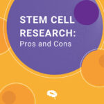 幹細胞研究。長所と短所