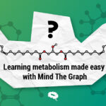 metabolizma