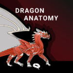 dragon-anatomy-blog1