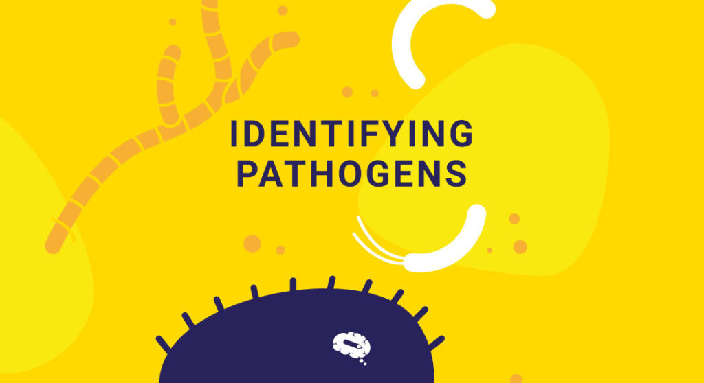 explore-the-different-methods-for-identifying-pathogens