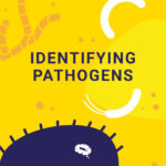 identification des pathogènes-blog