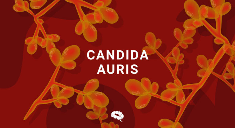 Candida Auris: Why Take this Fungal Infection Seriously