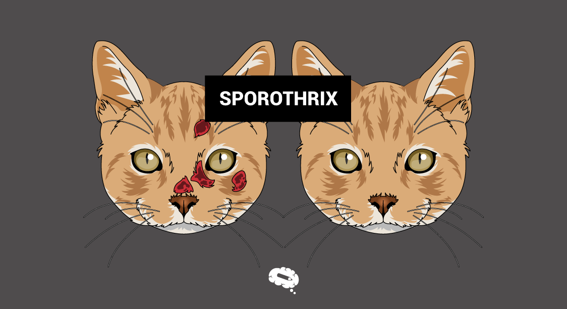 sporothrix