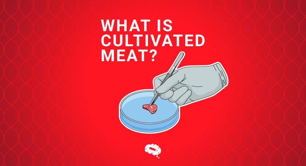 What is Cultivated Meat? A Guide to Lab-Grown Meat