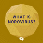 kaj-je-norovirus-blog