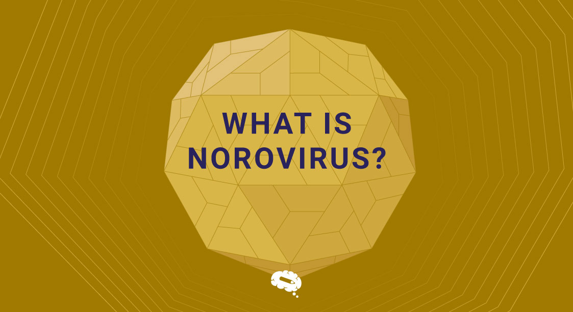 노로바이러스란 무엇인가 블로그