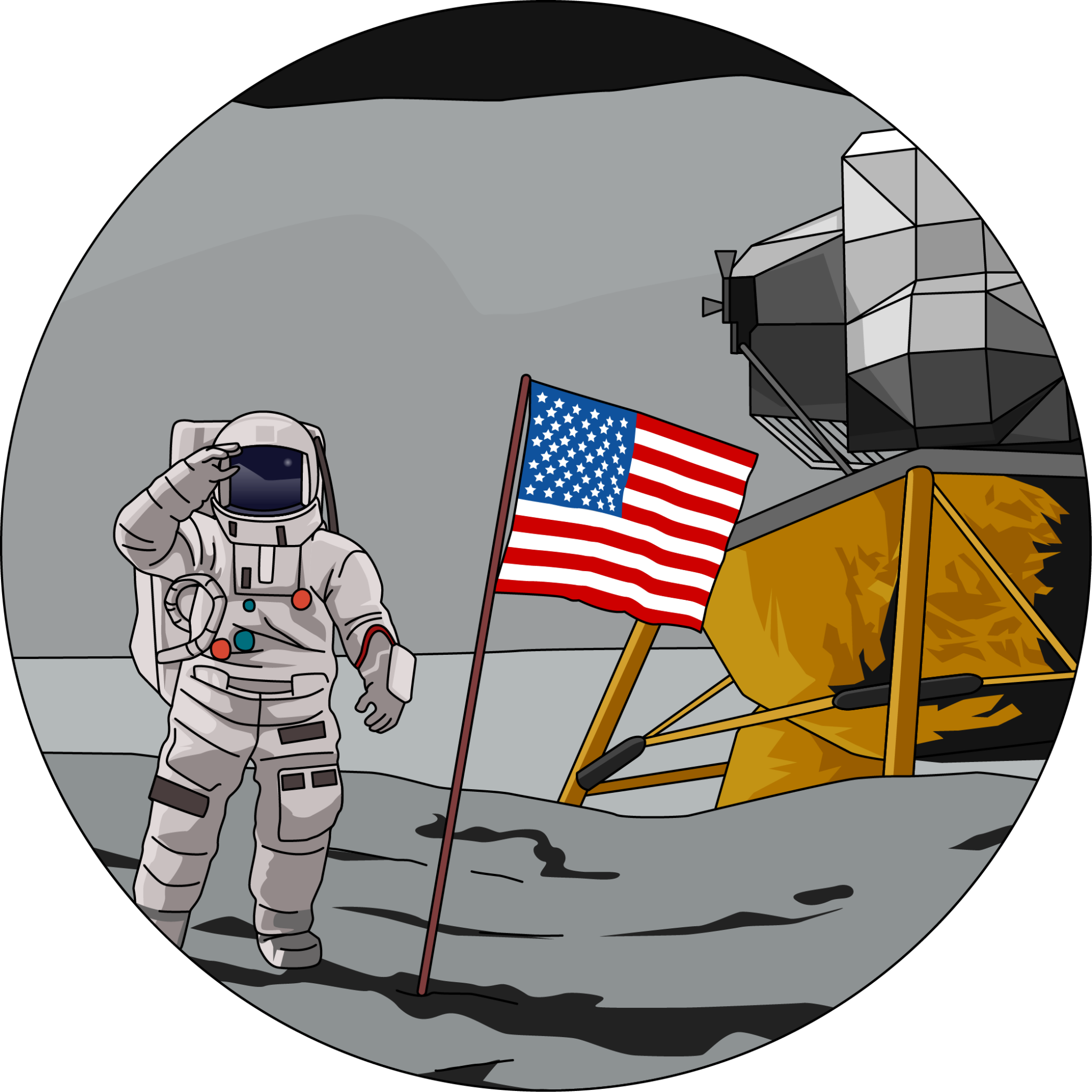 missions-to-the-moon-illustrated-mind-the-graph-blog