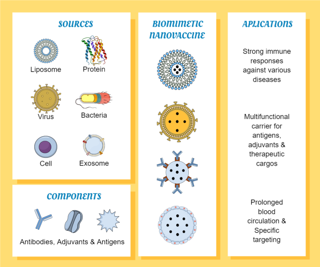 Вакцины нового поколения: Новый рубеж в борьбе с болезнями