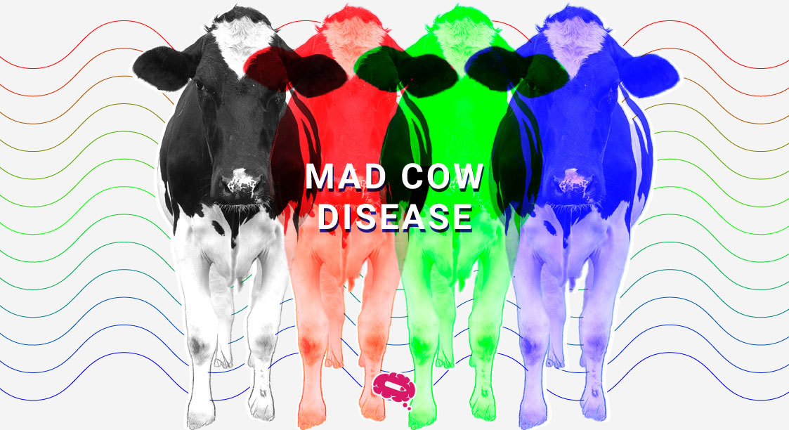 mad-cow-disease-blog