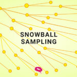 sneeuwbal-sampling-blog