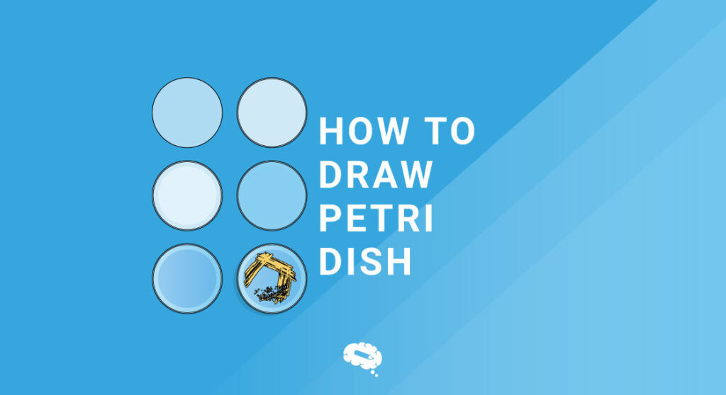 How To Draw Petri Dishes A StepbyStep Guide Mind the Graph Blog