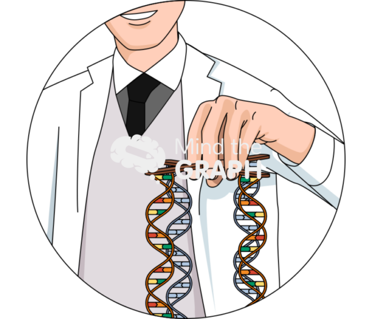 What Is A Modified Organism? Understand GMOs Here