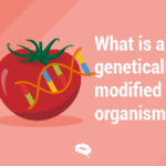 o que é um organismo geneticamente modificado