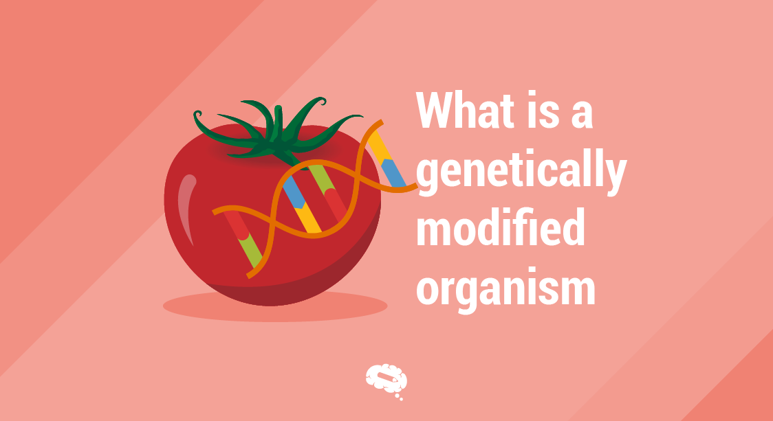 what is a genetically modified organism