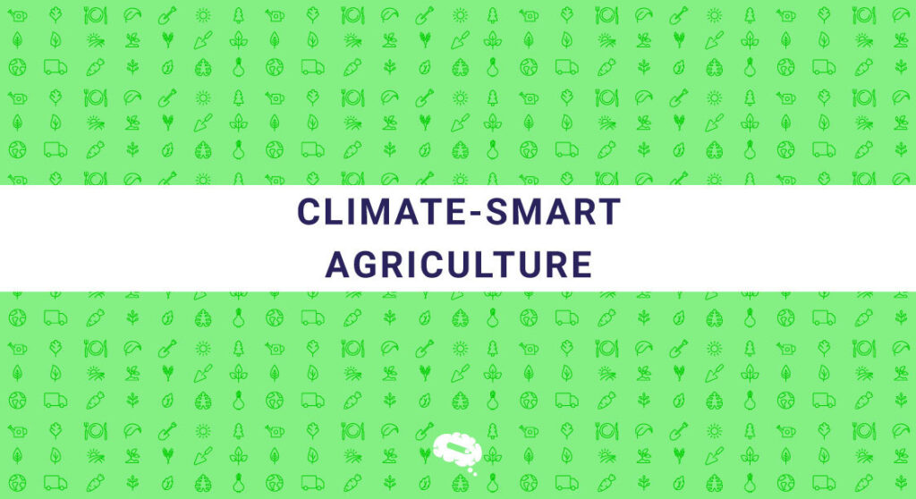 The Sustainability Science: Exploring Climate-Smart Agriculture